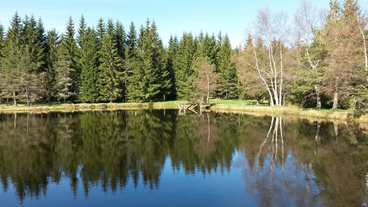 Photo of Outdoor in La Bastide-Puylaurent