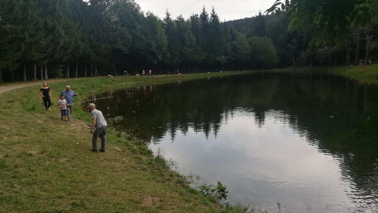Photo of Others in La Bastide-Puylaurent