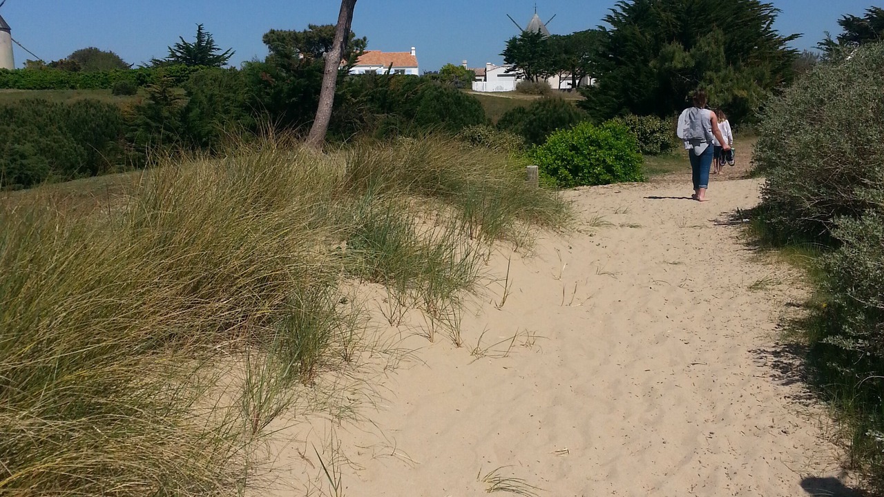 Photo of Others in La Gueriniere