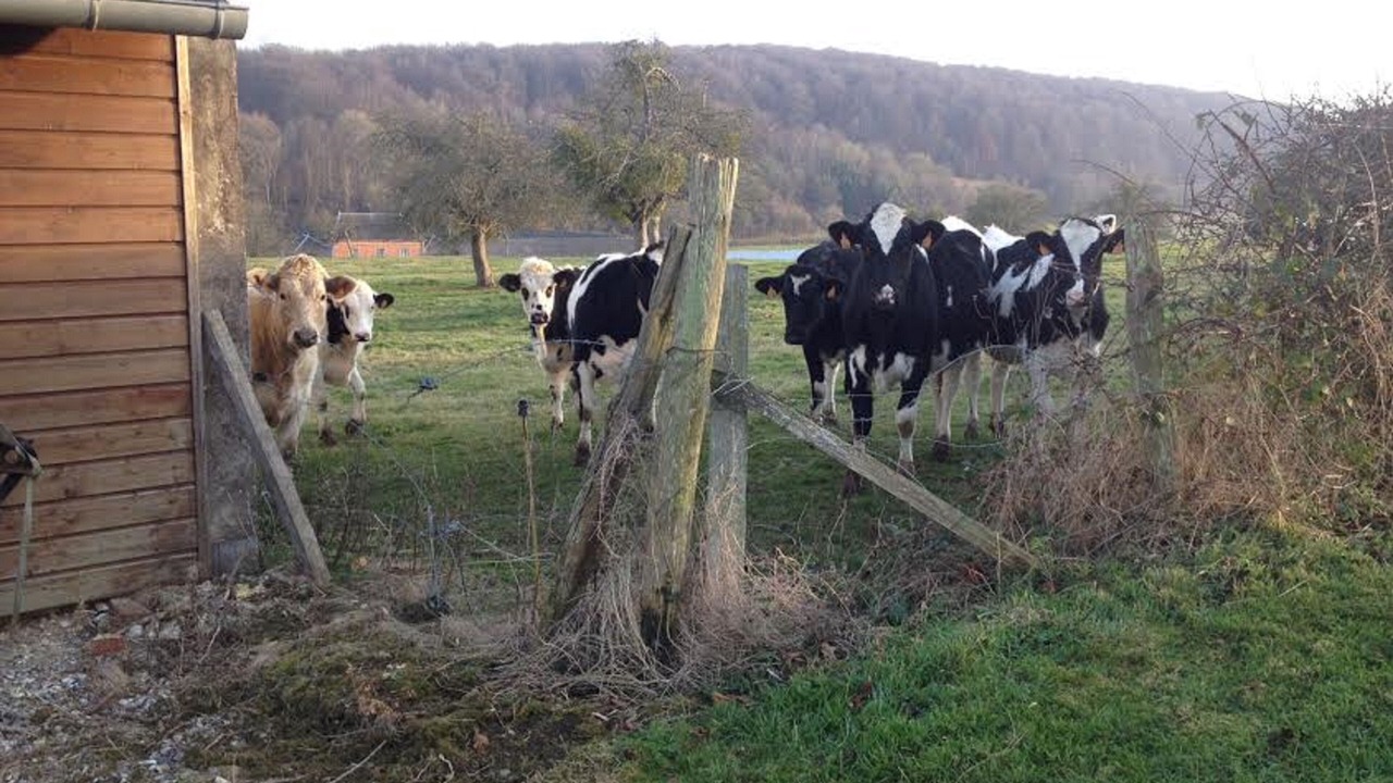Photo of Outdoor in Aubermesnil-aux-Erables