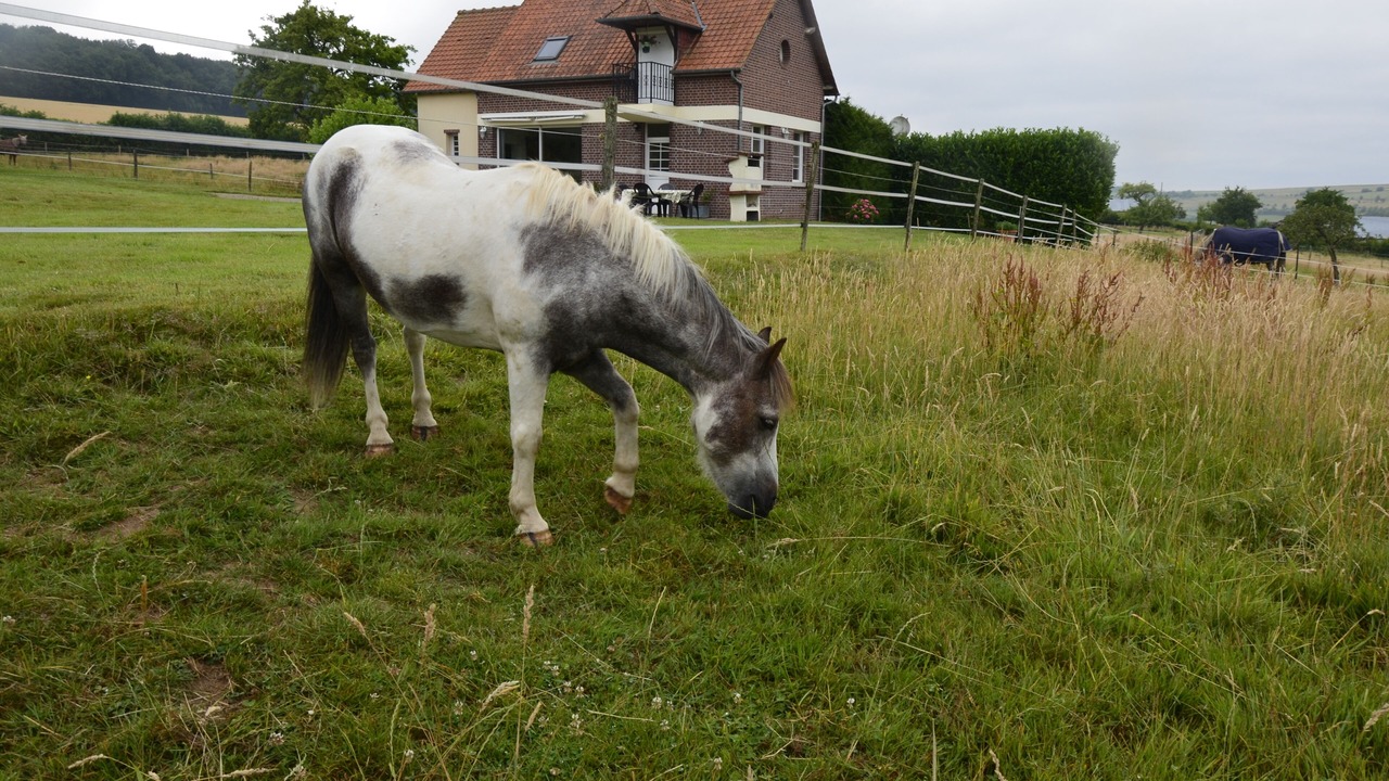 Photo of Outdoor in Aubermesnil-aux-Erables