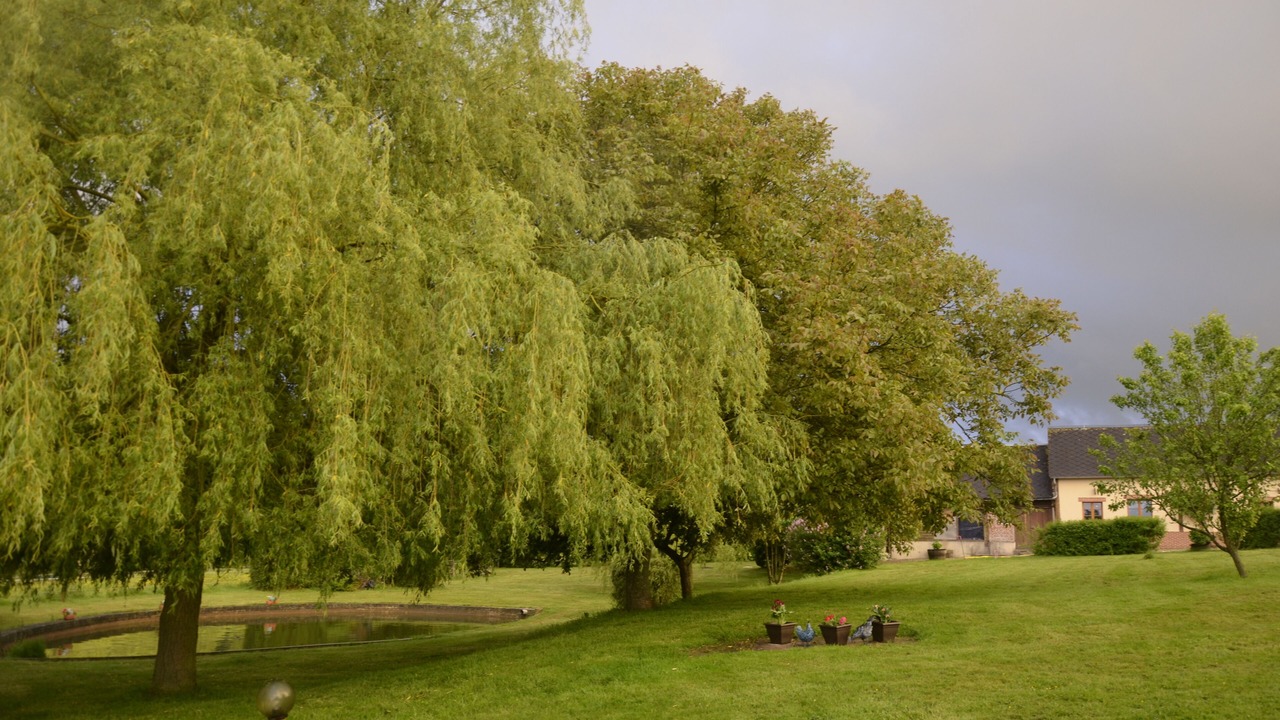 Photo of Outdoor in Aubermesnil-aux-Erables