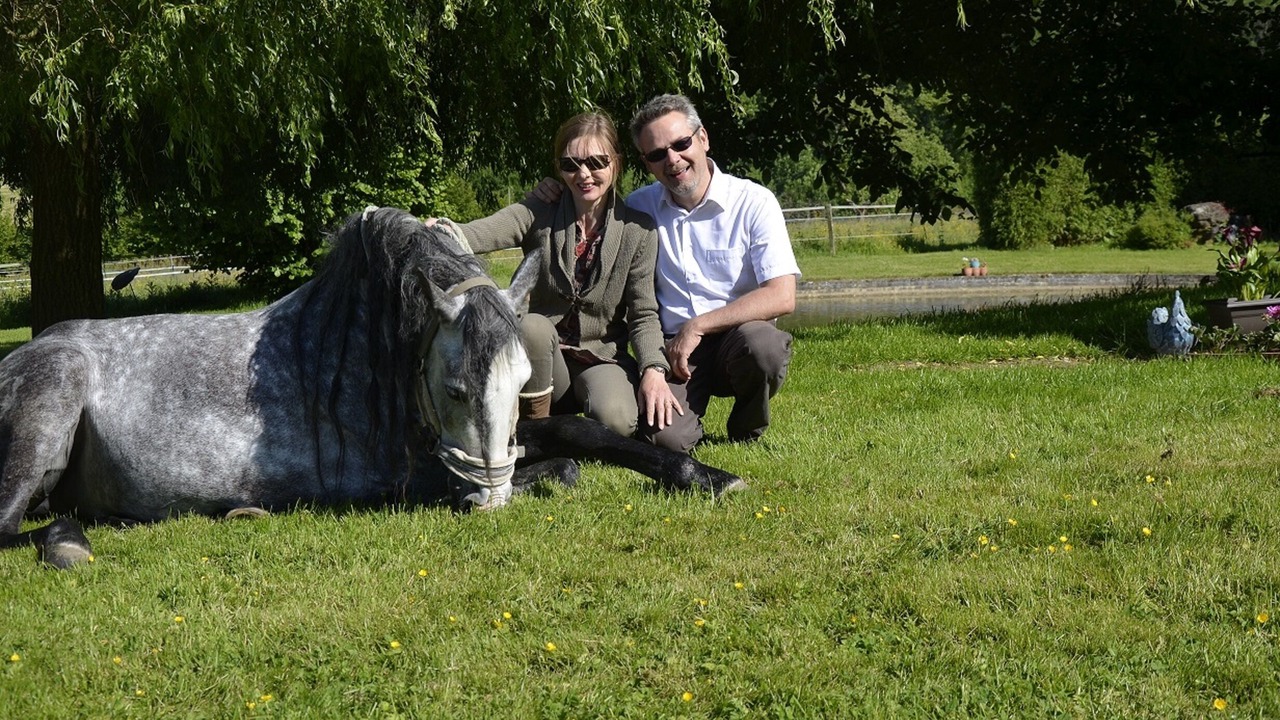 Photo of Others in Aubermesnil-aux-Erables