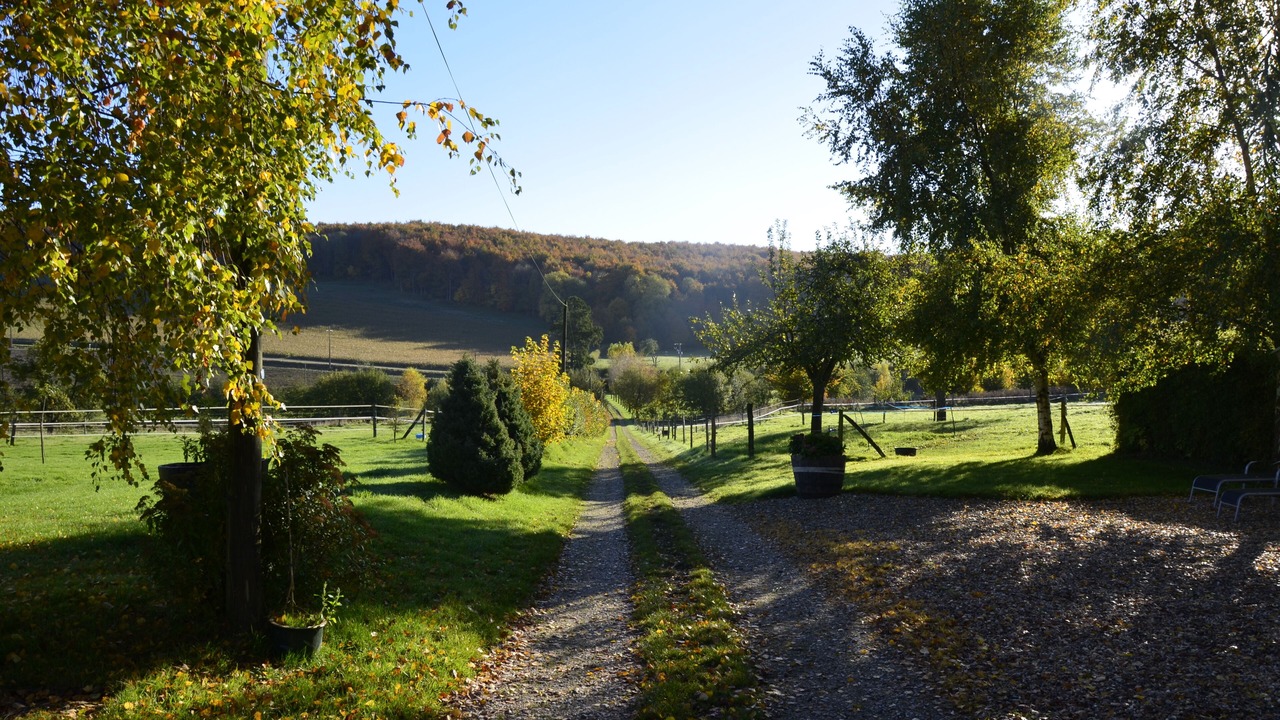 Photo of Outdoor in Aubermesnil-aux-Erables