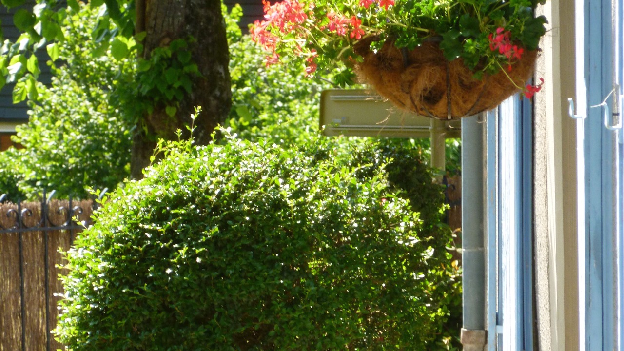 Photo of Outdoor in Montauban-de-Luchon