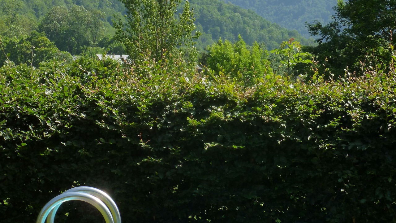 Photo of Others in Montauban-de-Luchon