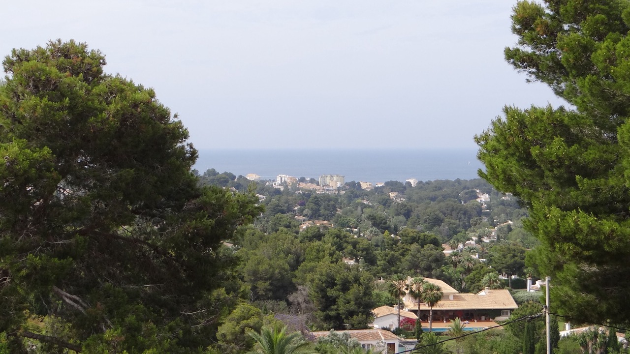 Photo of Others in Javea