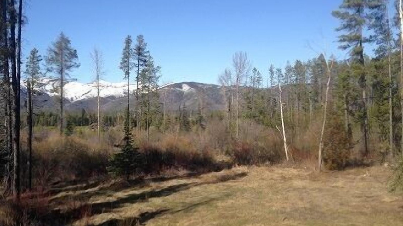Photo of Outdoor in Columbia Falls