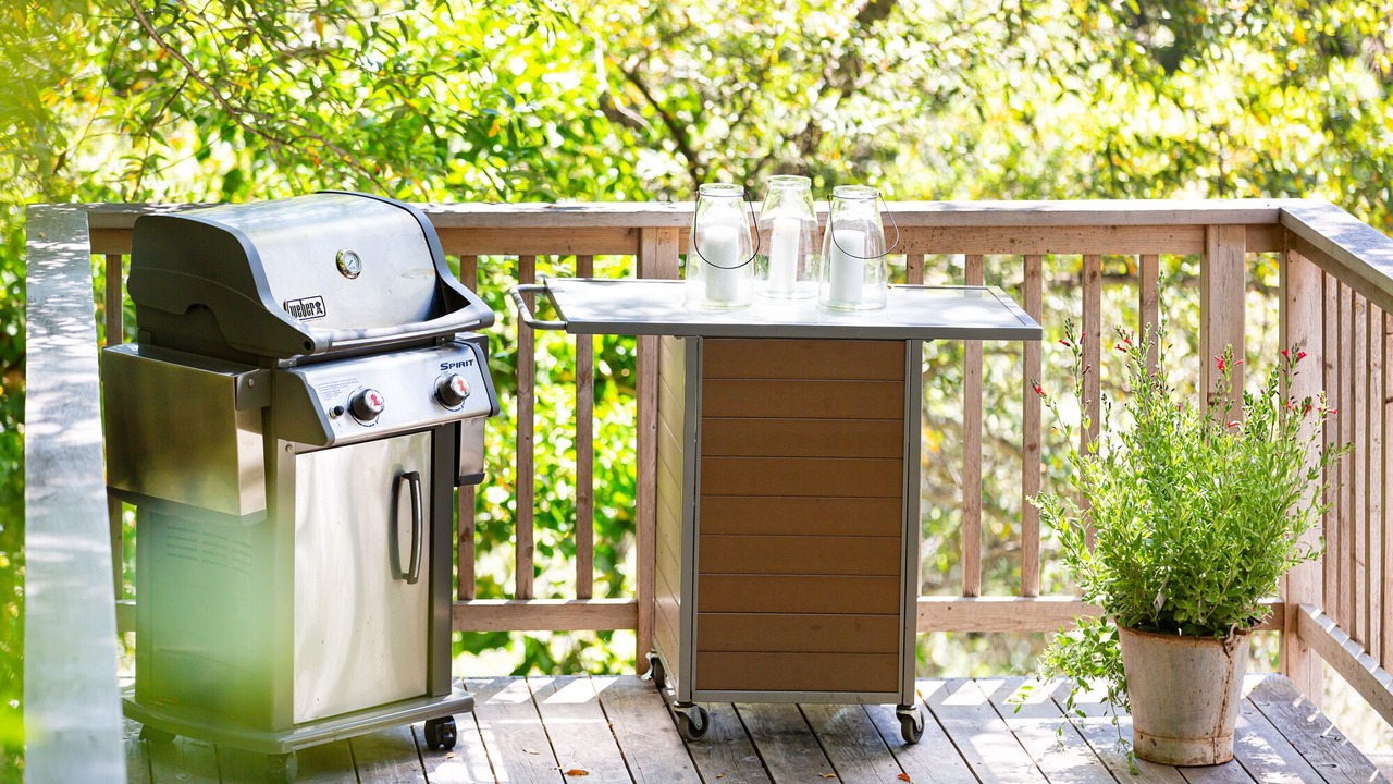 Photo of Outdoor in Mill Valley