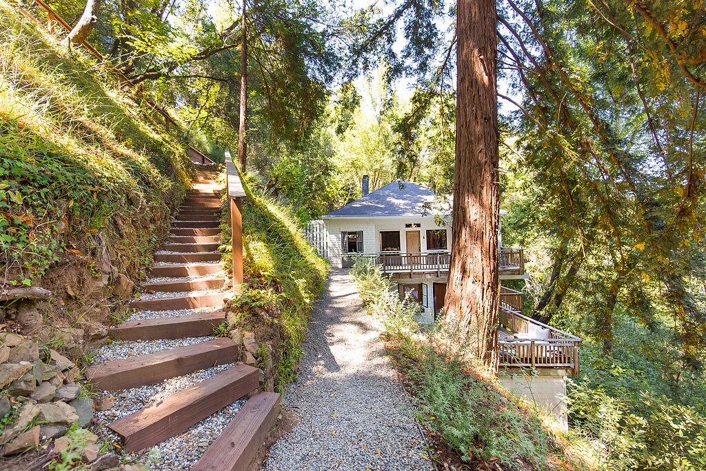 Photo of Others in Mill Valley