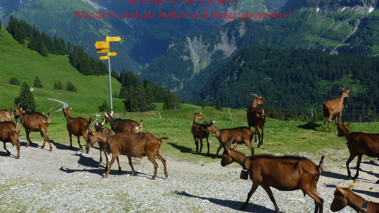 Photo of Others in Val d'Illiez