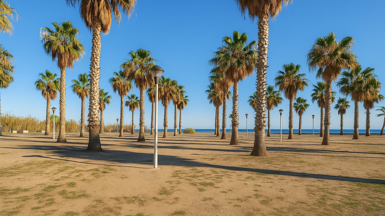 Photo of Others in Alboraya