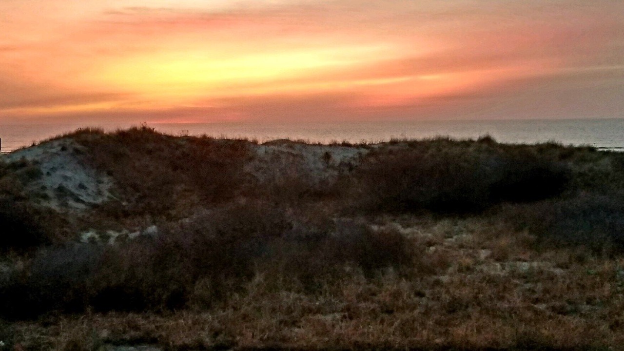 Photo of Others in Diamond Beach