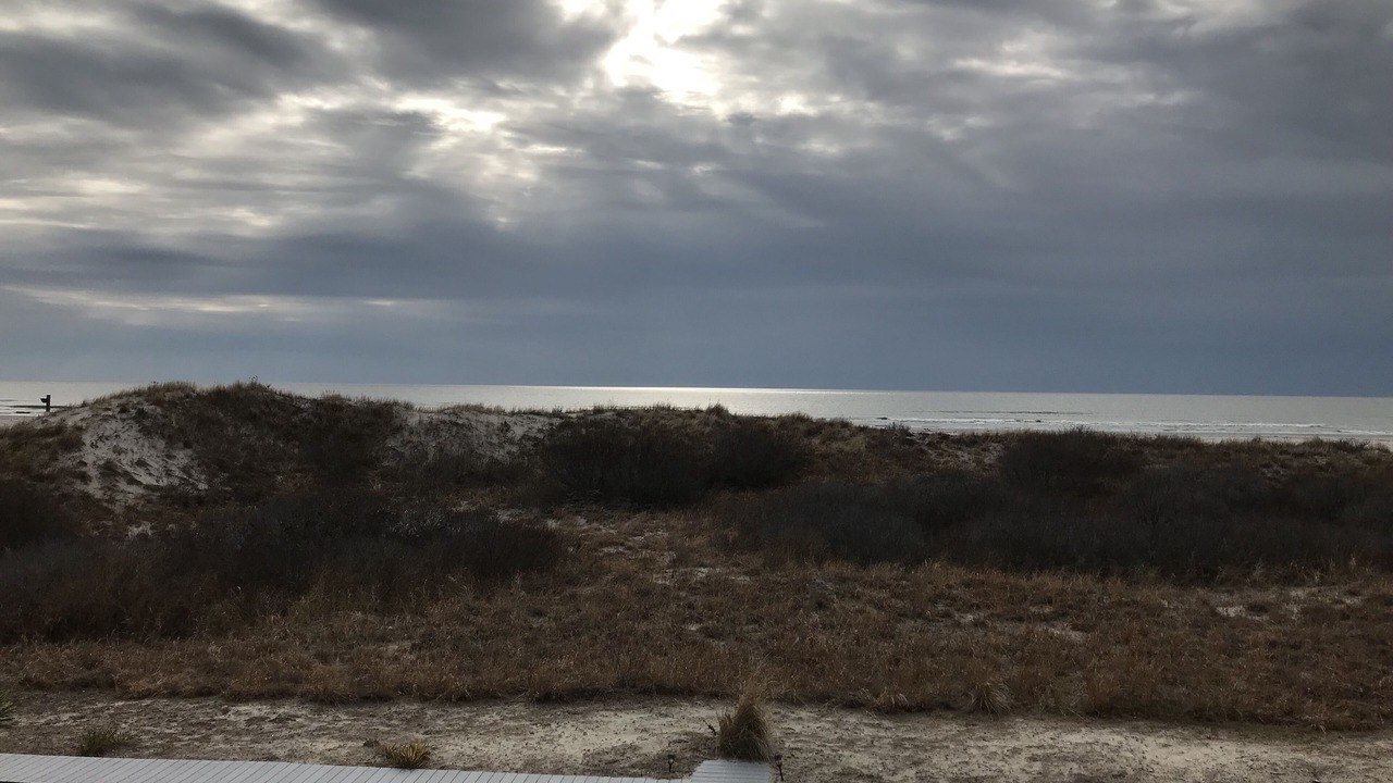 Photo of Others in Diamond Beach