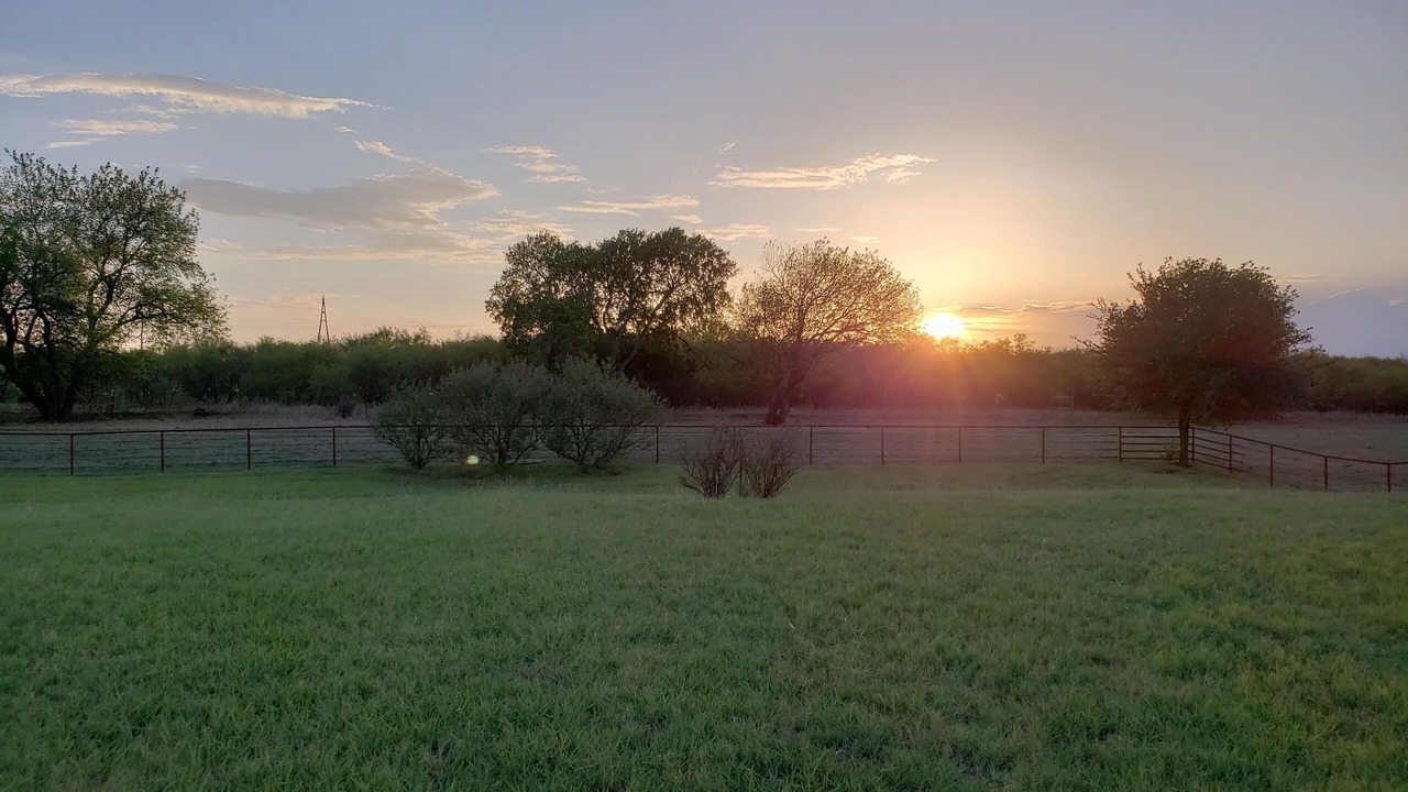 Photo of Outdoor in Sherman