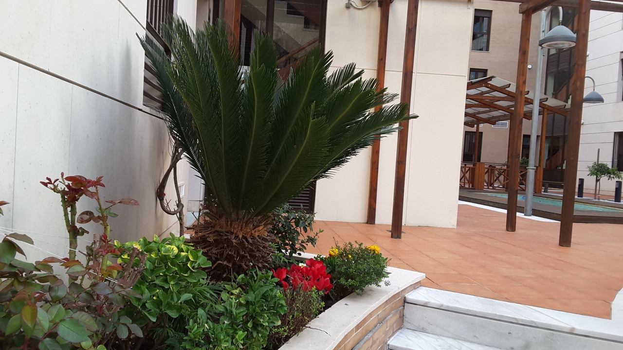 Photo of Outdoor in Distrito Noroeste
