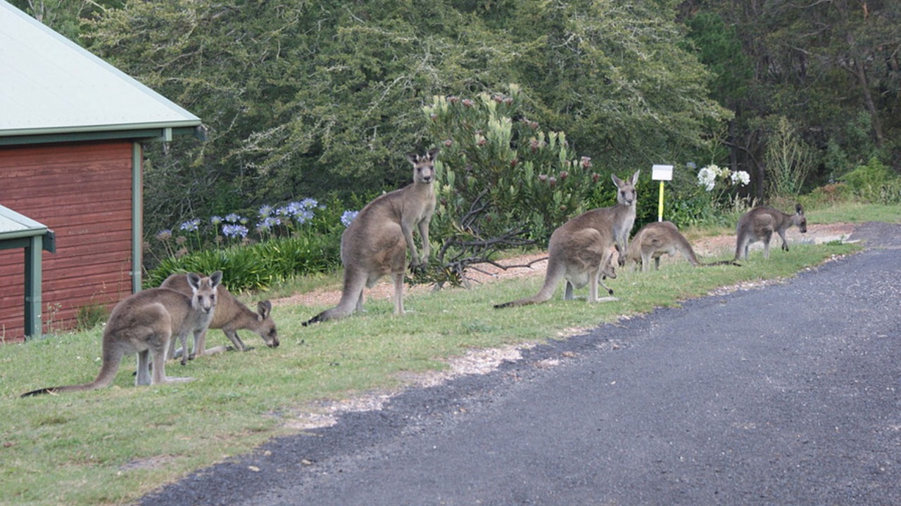 Photo of Outdoor in Mount Victoria