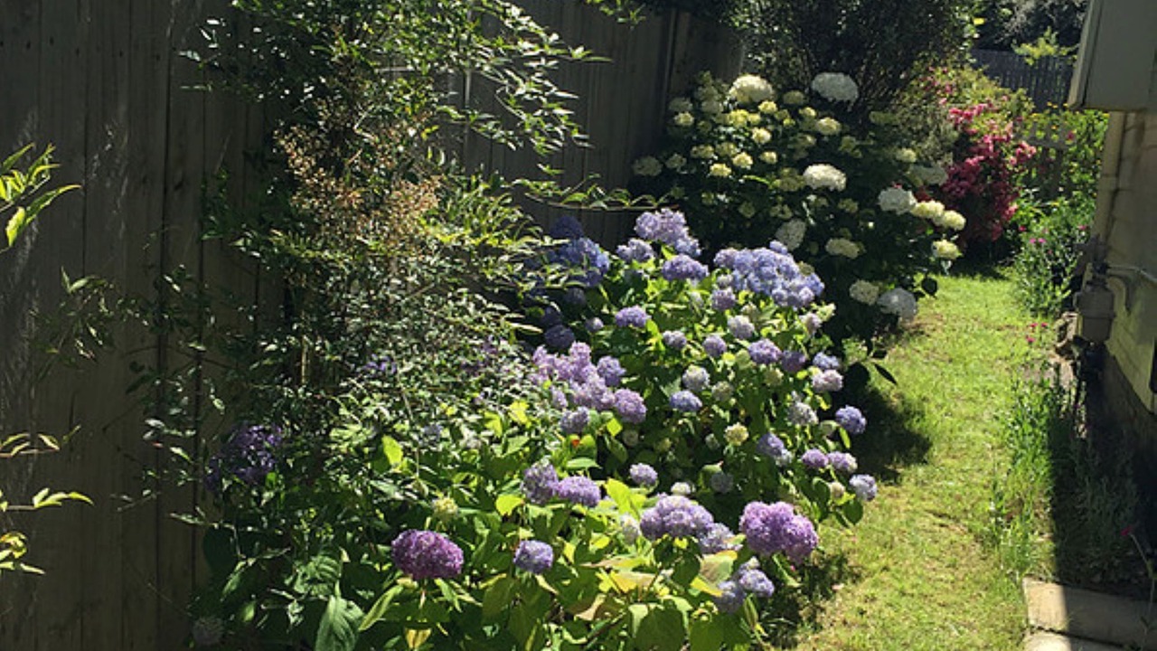 Photo of Outdoor in Mount Victoria