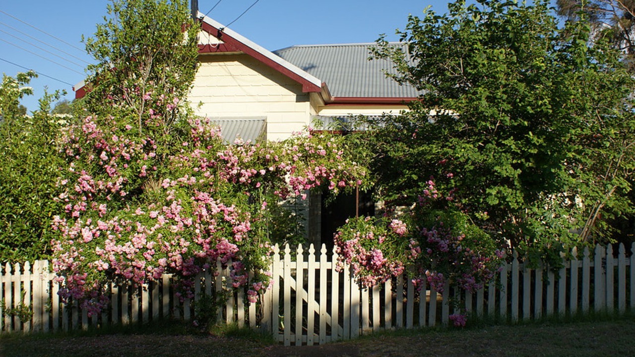 Photo of Outdoor in Mount Victoria