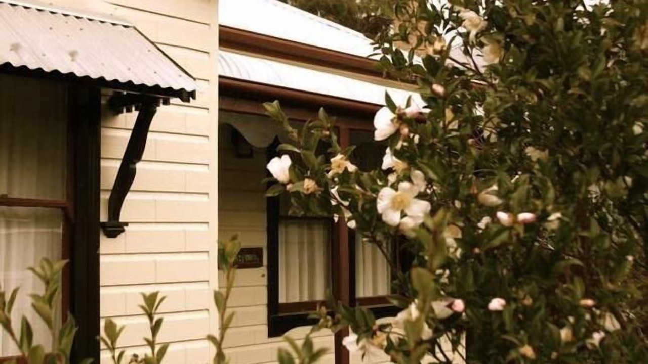 Photo of Outdoor in Mount Victoria