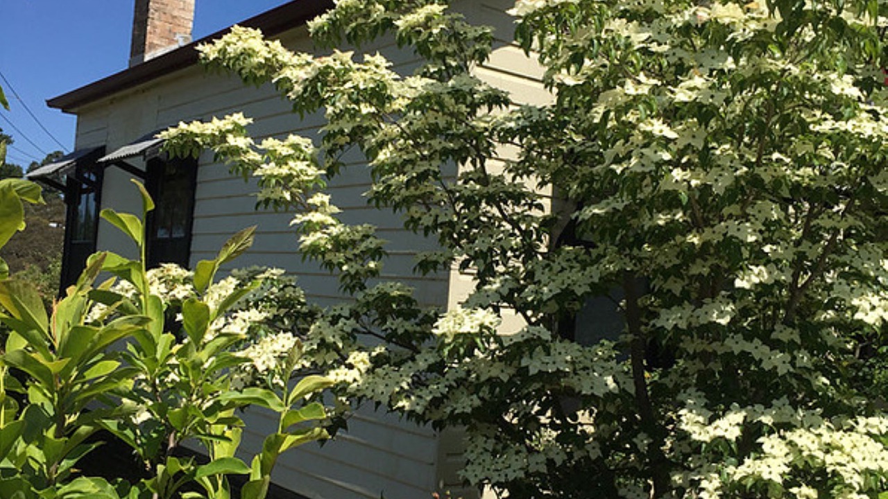 Photo of Outdoor in Mount Victoria