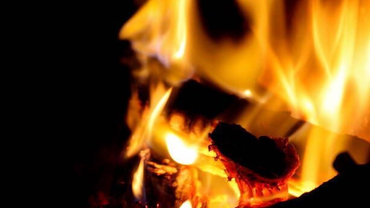 Photo of Livingroom in Mount Victoria