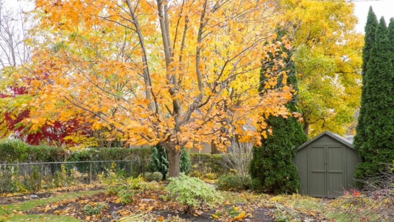 Photo of Outdoor in Old Town Historic District