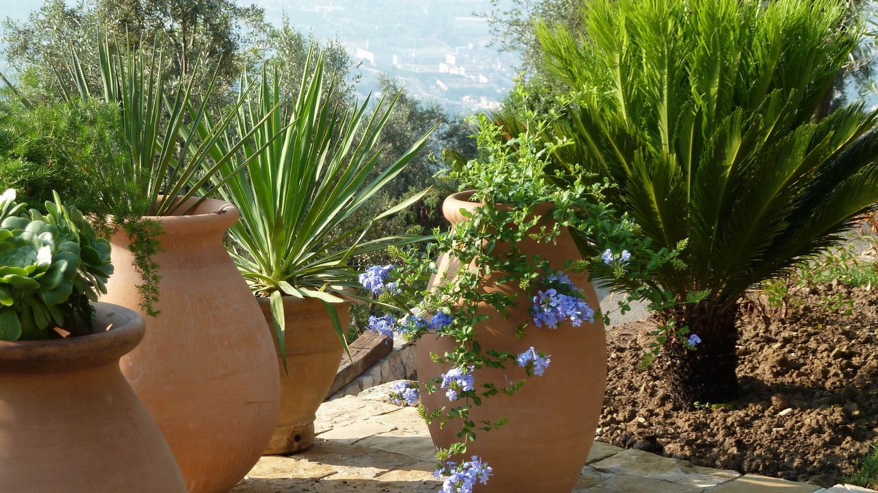 Photo of Outdoor in Grasse