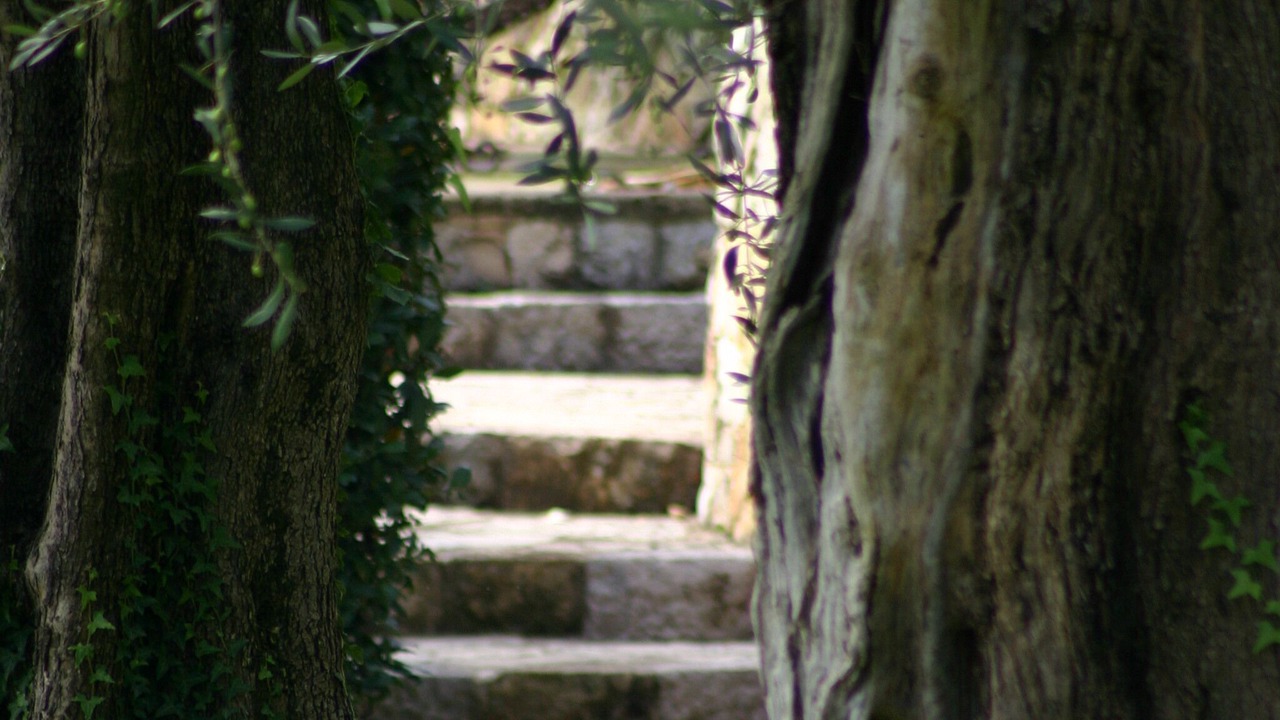 Photo of Outdoor in Grasse