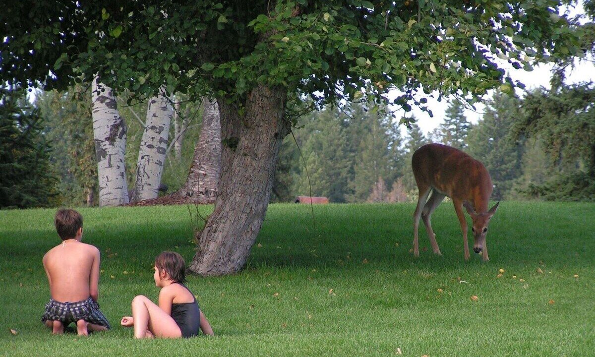 Photo of Others in Whitefish