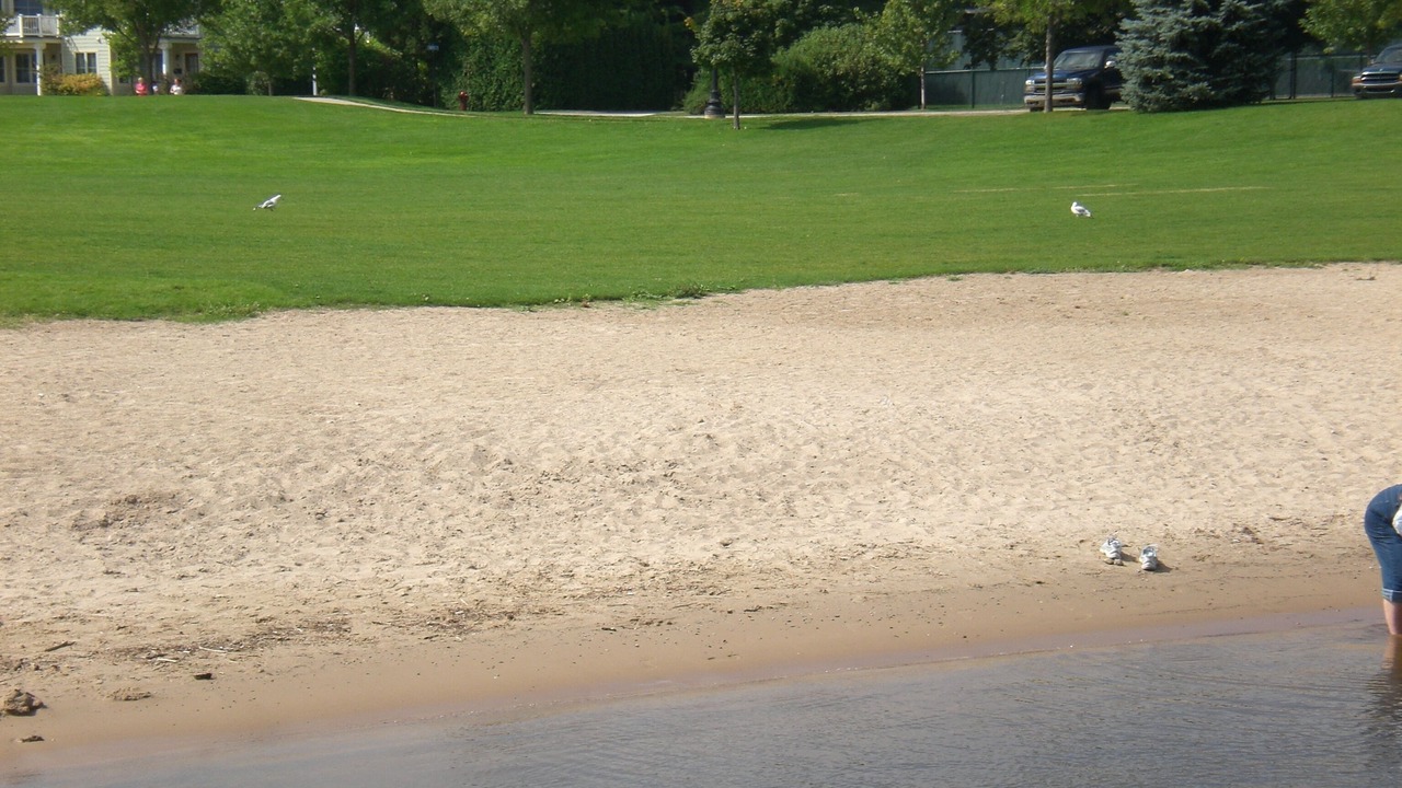 Photo of Others in Petoskey