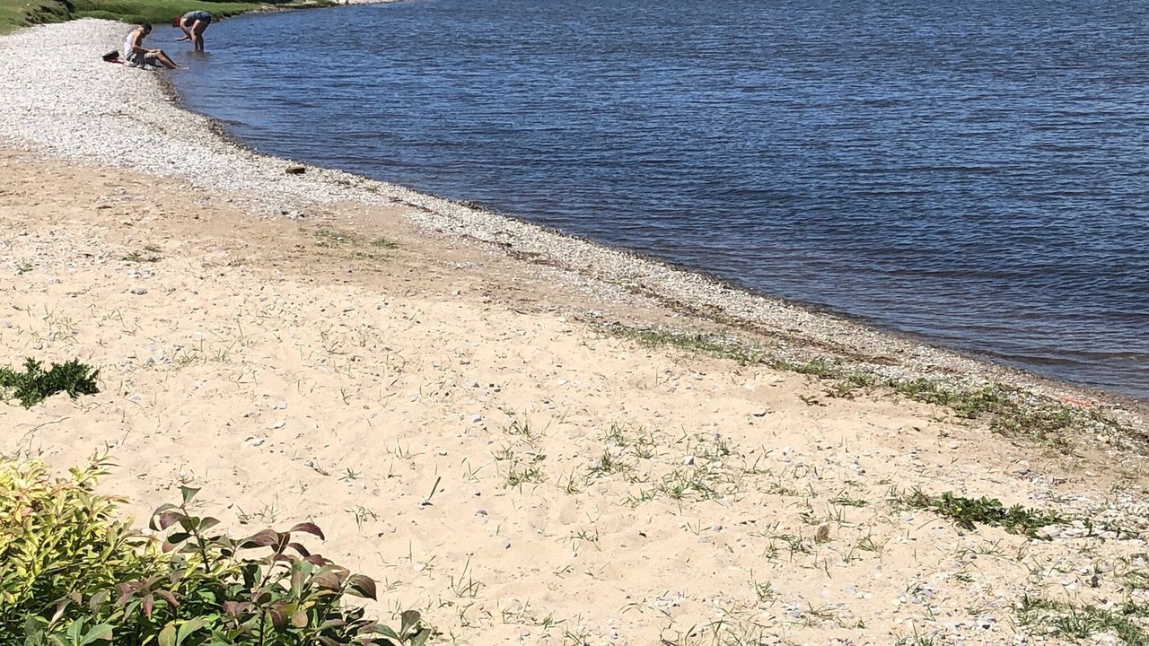 Photo of Others in Petoskey