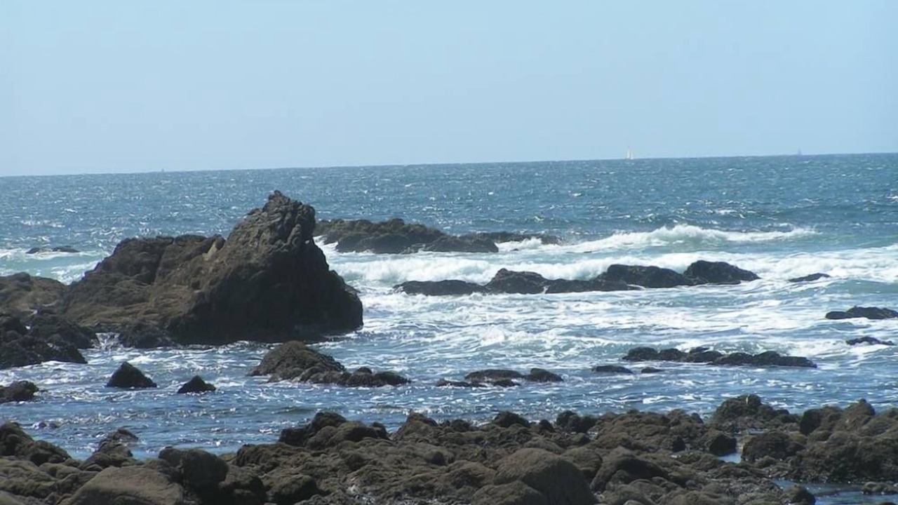 Photo of Others in Batz-sur-Mer