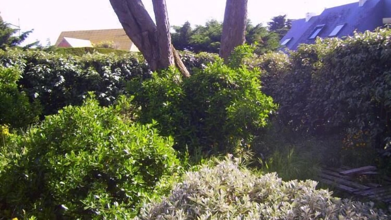 Photo of Outdoor in Batz-sur-Mer