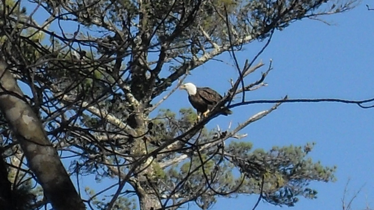 Photo of Others in Franklin