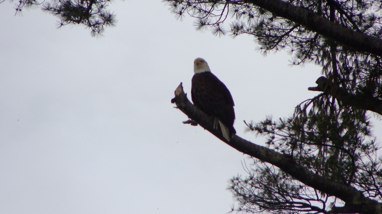 Photo of Others in Franklin
