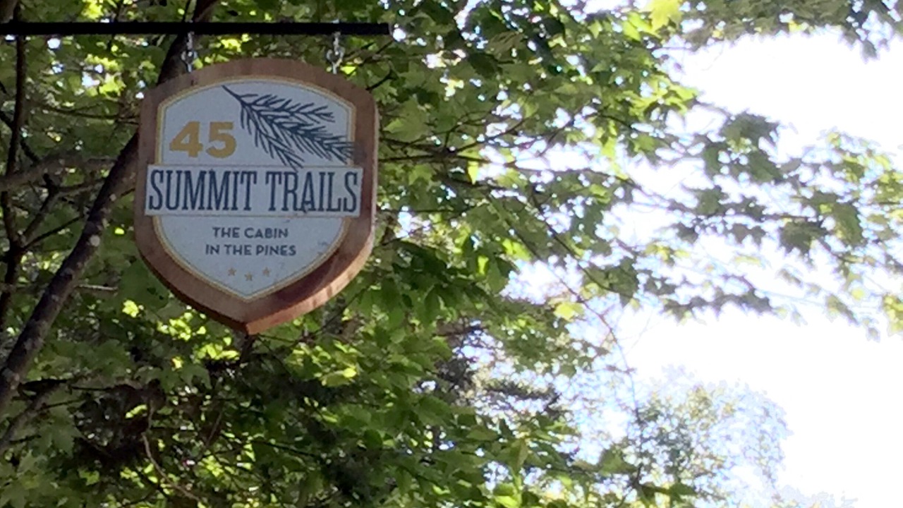 Photo of Outdoor in Weston