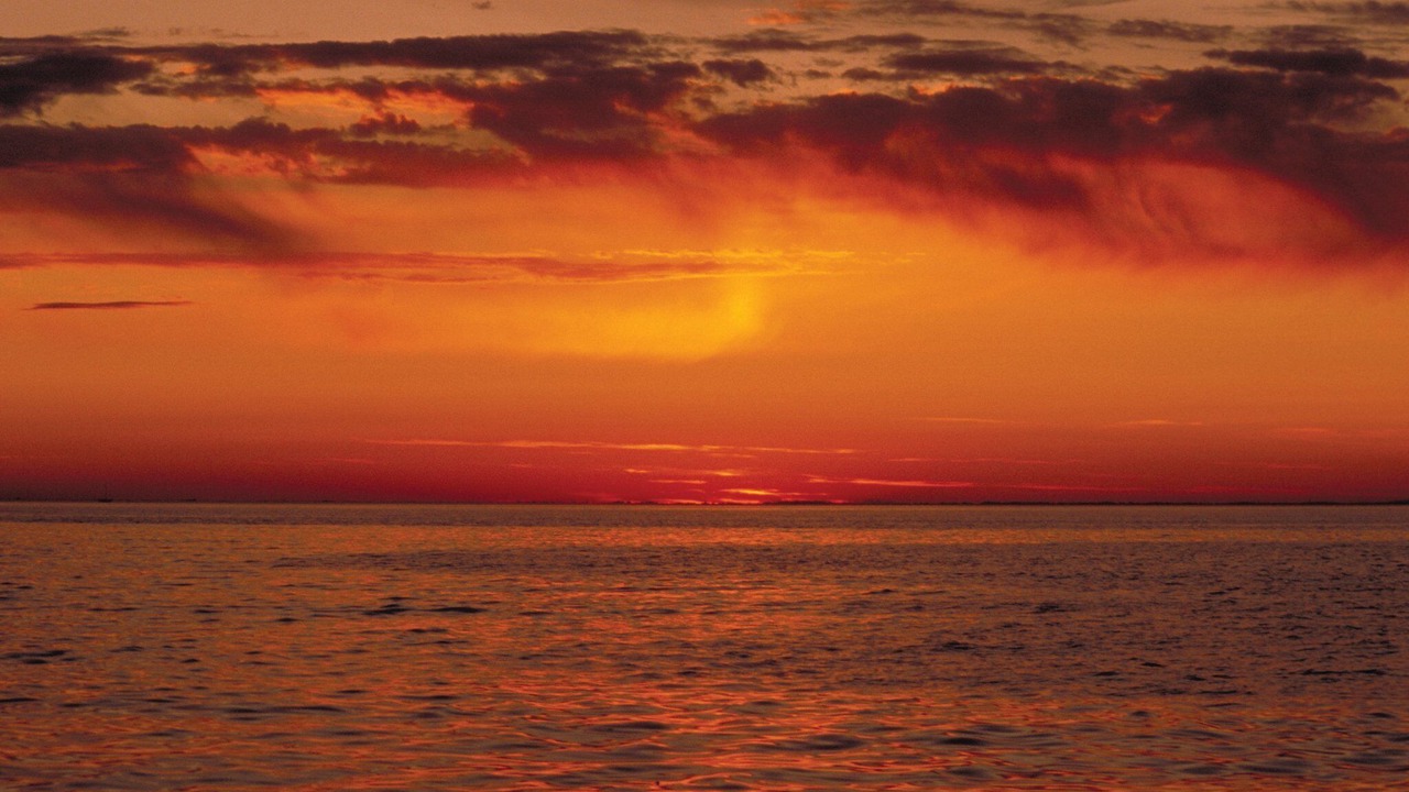 Photo of Others in Birch Bay