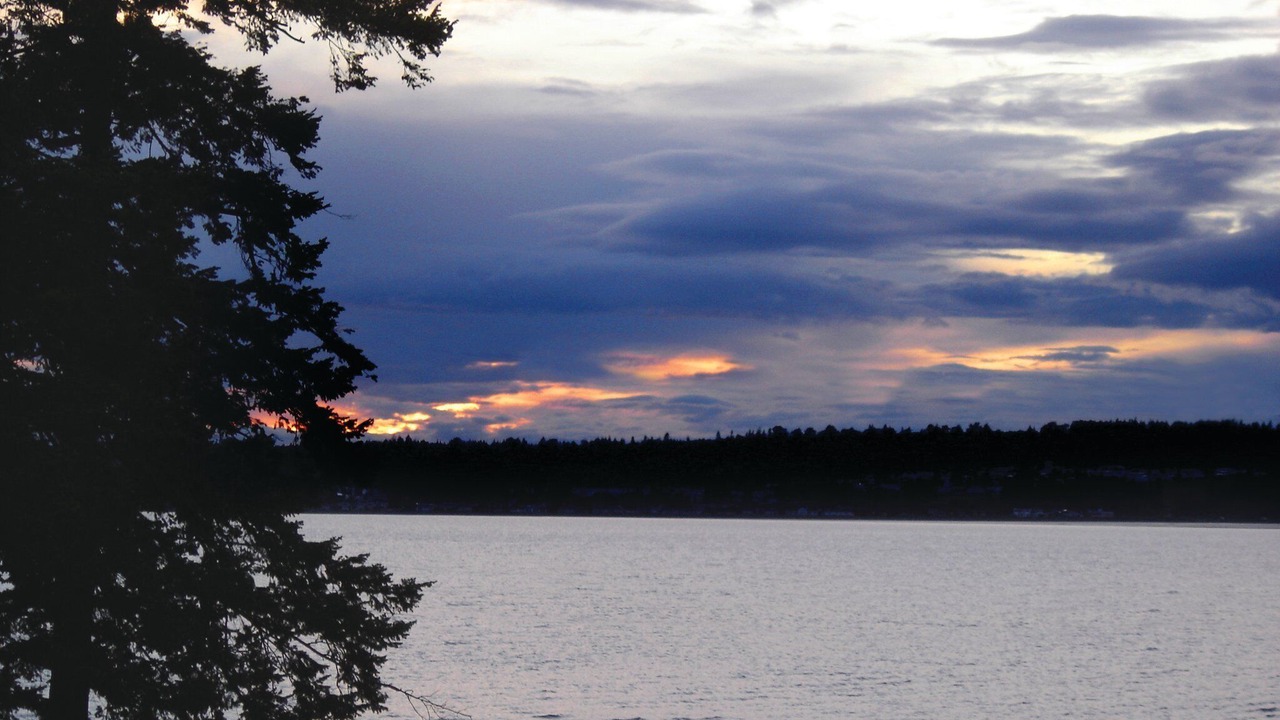 Photo of Others in Birch Bay