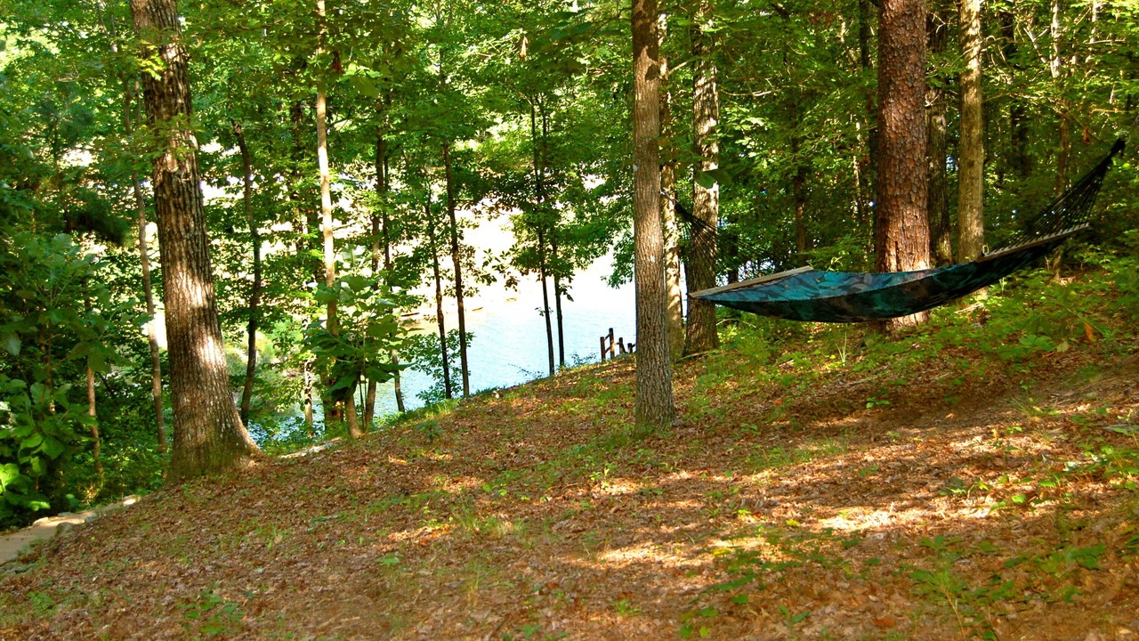 Photo of Outdoor in Arley