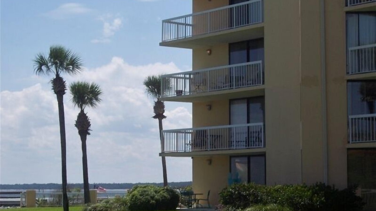 Photo of Others in Saint Simons Island