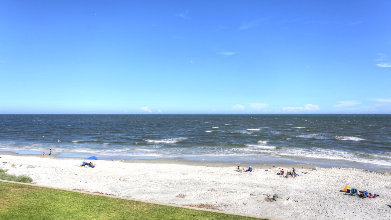 Photo of Others in Saint Simons Island