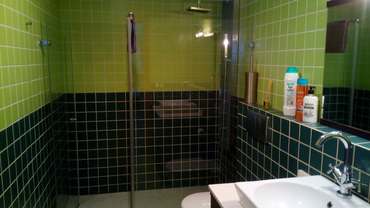 Photo of Bathroom in Olivella