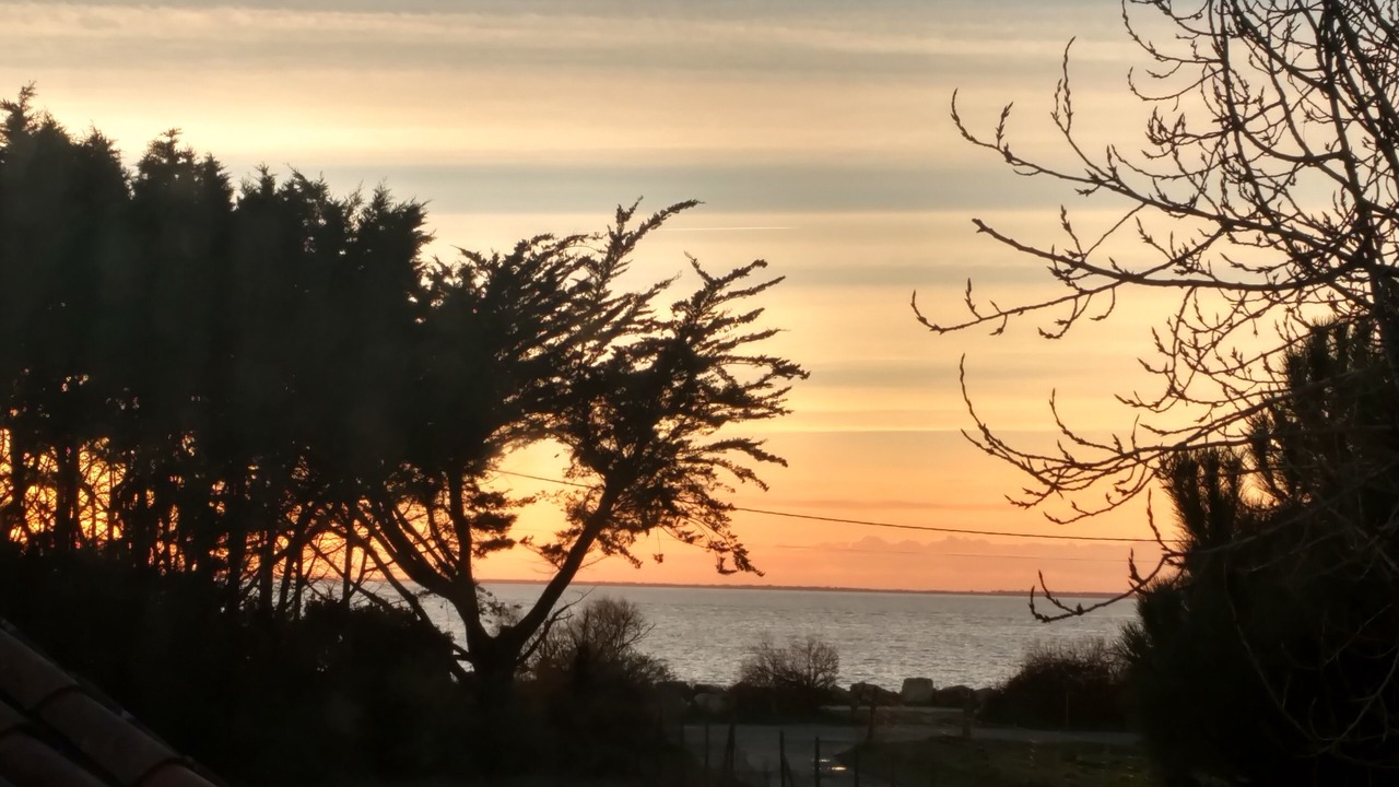 Photo of Others in Fouras