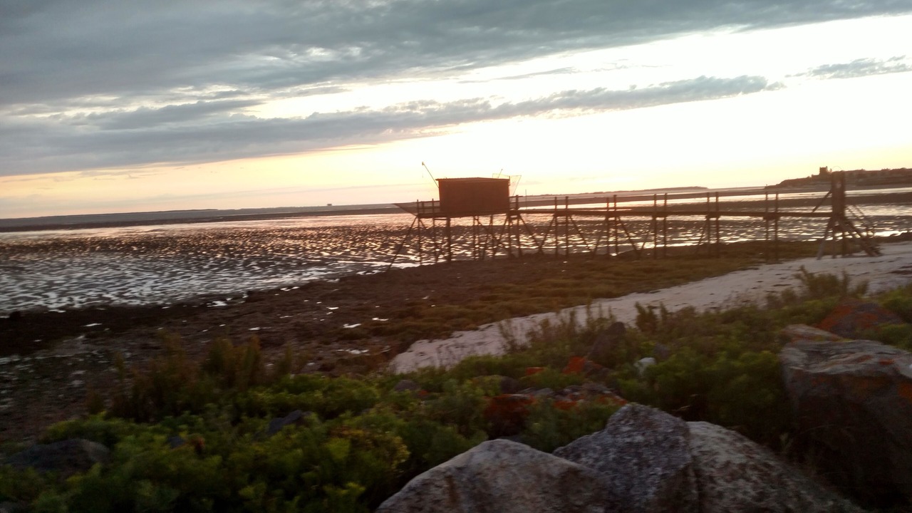 Photo of Others in Fouras