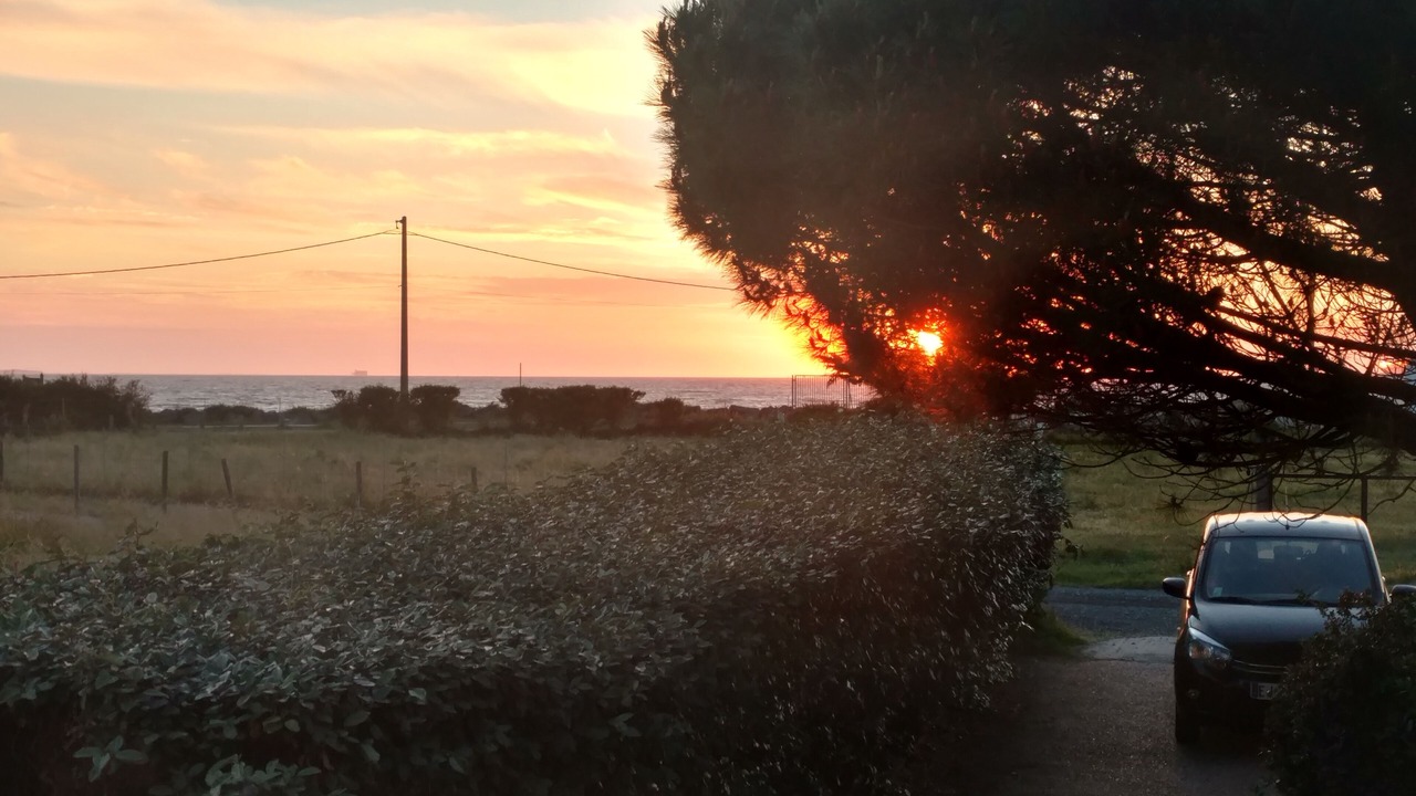 Photo of Others in Fouras