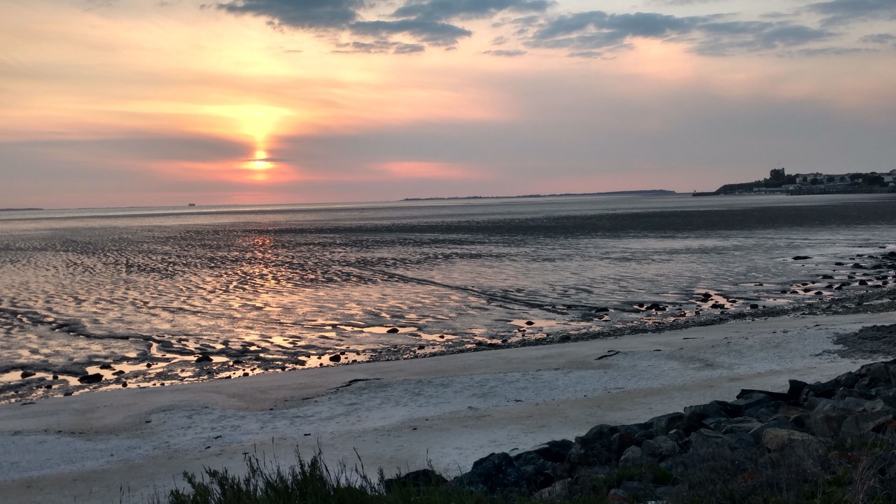 Photo of Others in Fouras