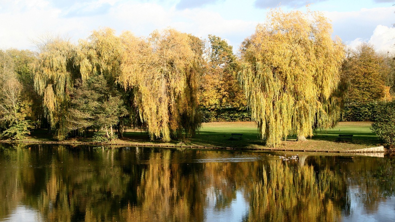 Photo of Others in Grez-sur-Loing