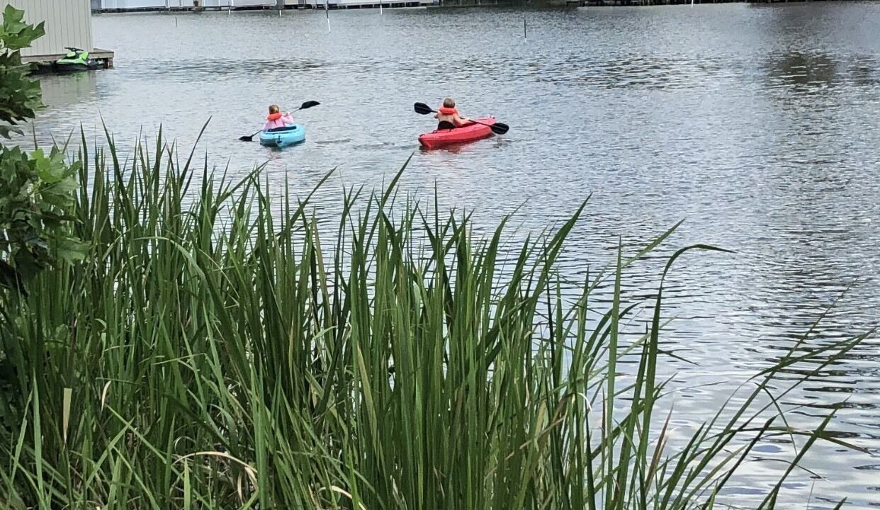 Photo of Outdoor in Guntersville