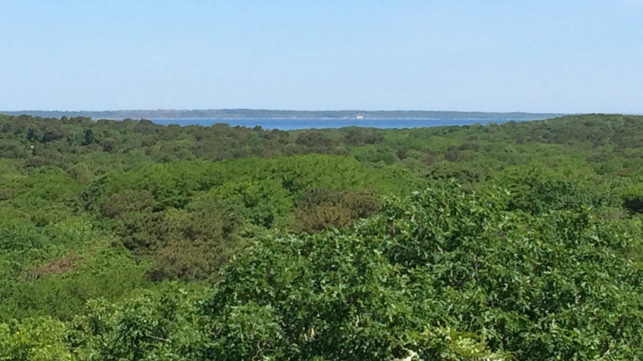 Photo of Others in Chilmark